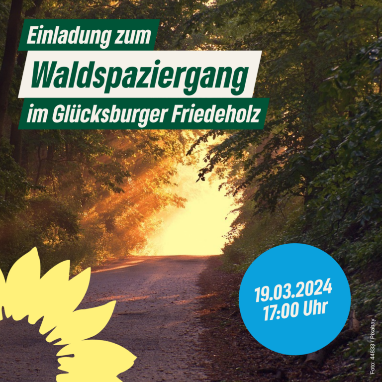 Waldspaziergang in Glücksburg