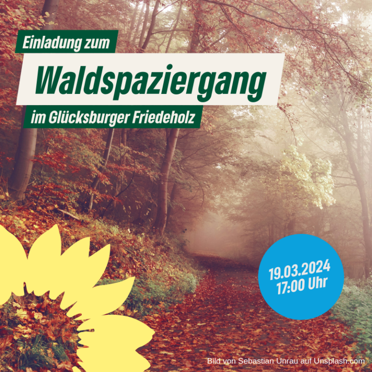 Waldspaziergang in Glücksburg