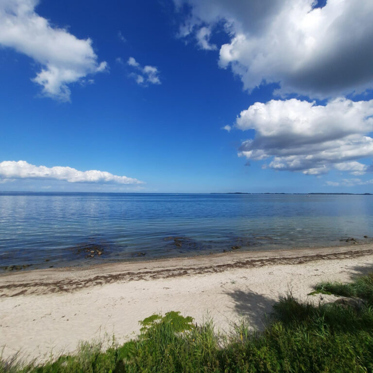 PRESSEMITTEILUNG zur Veröffentlichung des „Aktionsplanes Ostseeschutz 2030“ der Landesregierung
