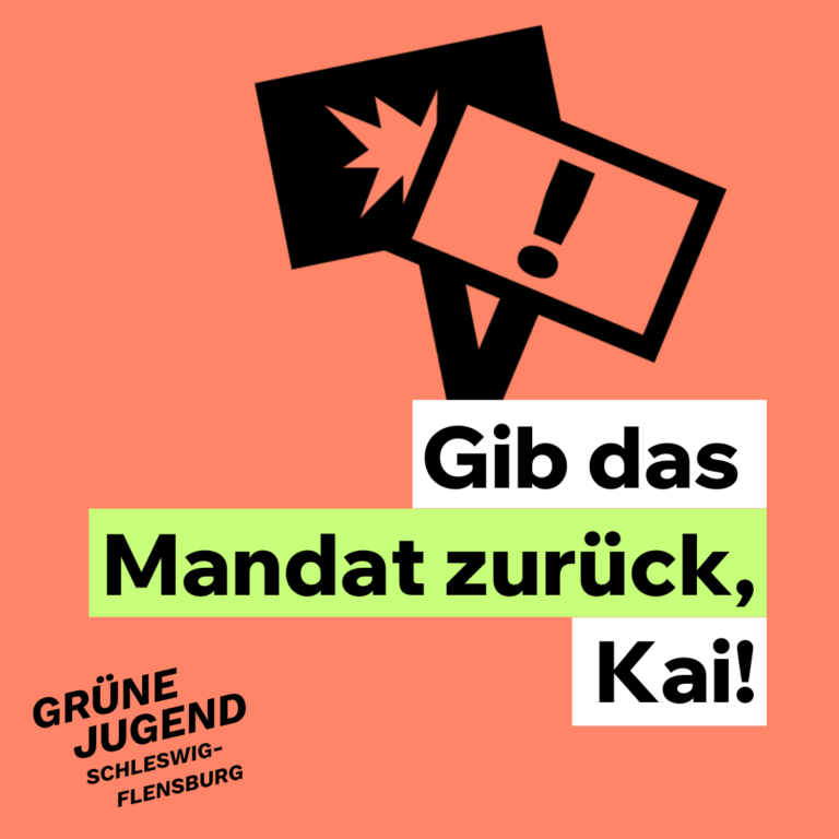 Die GJ Schleswig-Flensburg fordert: Kai, gib das Mandat zurück!