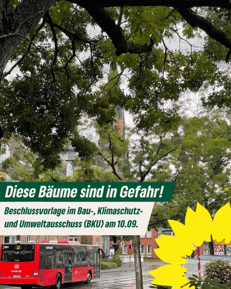 Keine Innenstadtsanierung auf Kosten der Stadtnatur