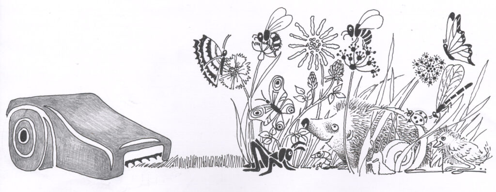 Ein Cartoon von Doi Germann zum Thema Mähroboter