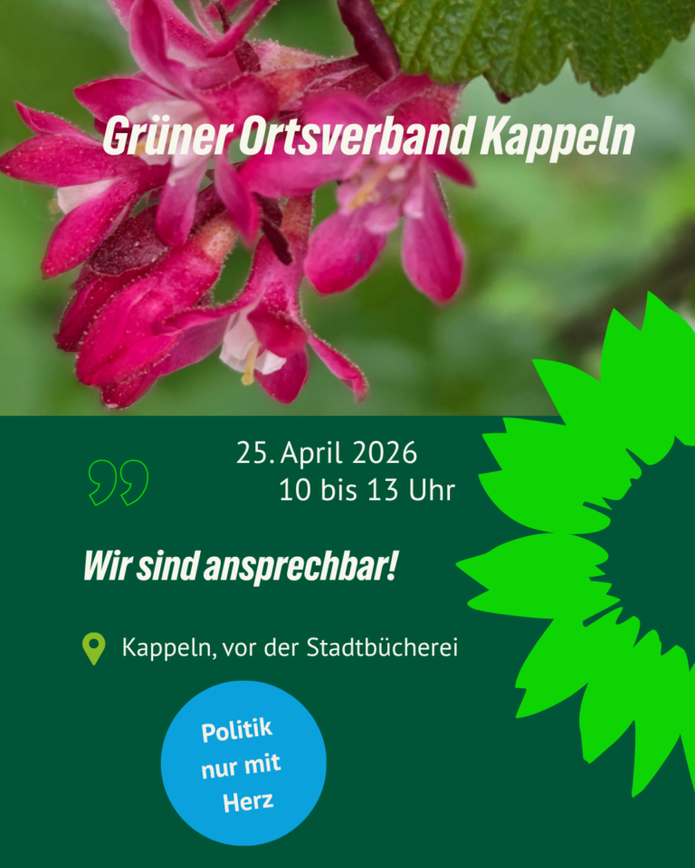 Infostand: Triff den grünen OV Kappeln!