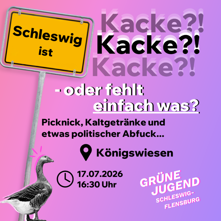 „Schleswig ist Kacke?!“
